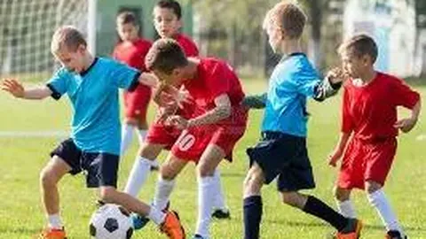 yy易游体育app下载 资讯 131203 zib