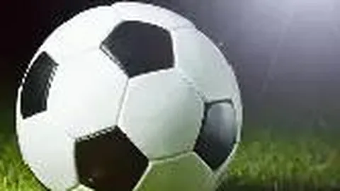 yy易游体育app下载 资讯 130104 zj6